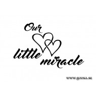 Väggtext - Our little miracle